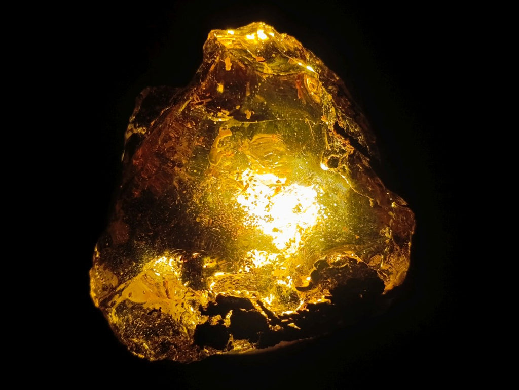 Polished XL Cabinet Size Copal Amber with Multiple Inclusions x 1 From Nosy Varika Madagascar
