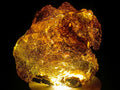 Polished XL Cabinet Size Copal Amber with Multiple Inclusions x 1 From Nosy Varika Madagascar