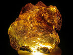 Polished XL Cabinet Size Copal Amber with Multiple Inclusions x 1 From Nosy Varika Madagascar