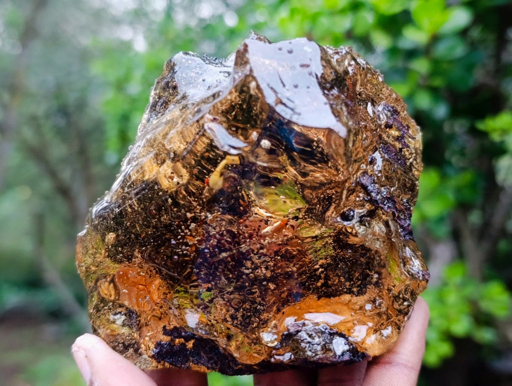 Polished XL Cabinet Size Copal Amber with Multiple Inclusions x 1 From Nosy Varika Madagascar