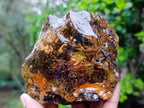 Polished XL Cabinet Size Copal Amber with Multiple Inclusions x 1 From Nosy Varika Madagascar