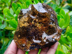 Polished XL Cabinet Size Copal Amber with Multiple Inclusions x 1 From Nosy Varika Madagascar