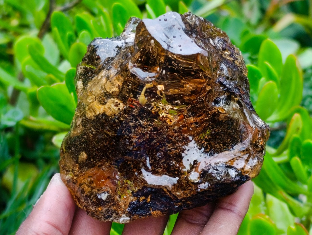 Polished XL Cabinet Size Copal Amber with Multiple Inclusions x 1 From Nosy Varika Madagascar