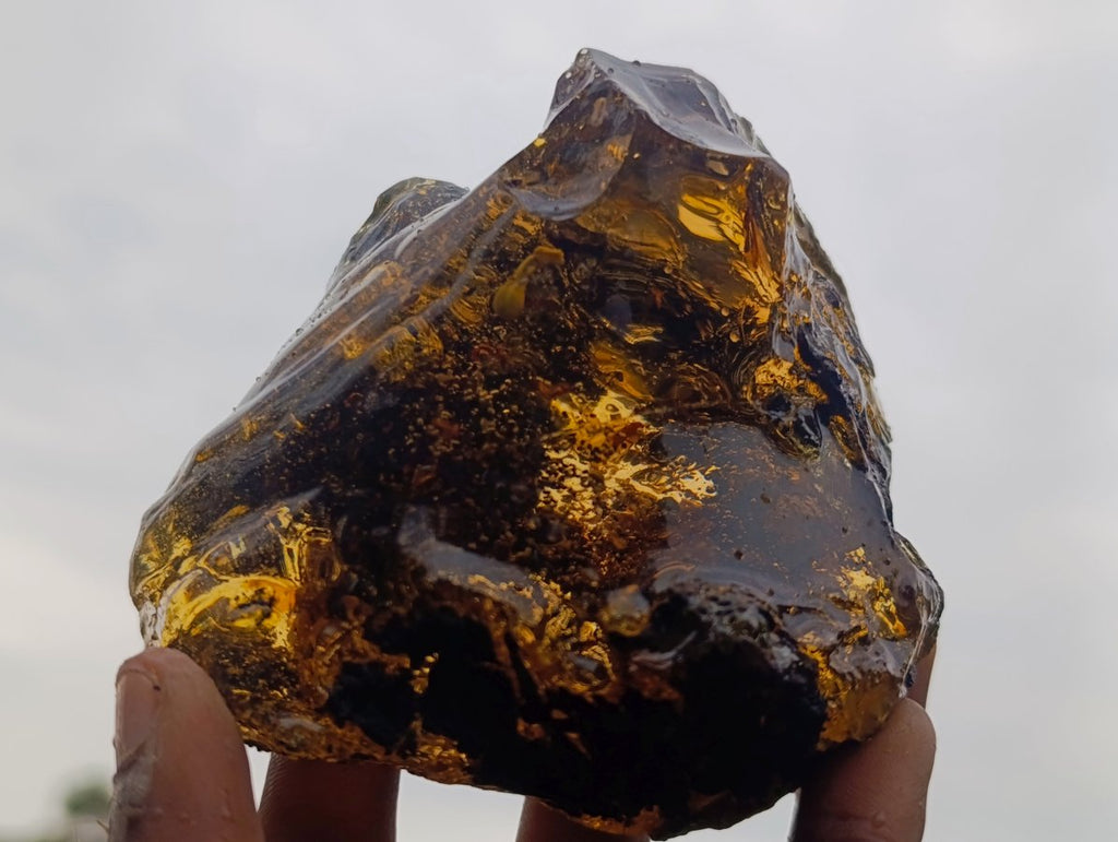 Polished XL Cabinet Size Copal Amber with Multiple Inclusions x 1 From Nosy Varika Madagascar