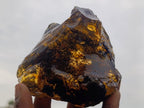 Polished XL Cabinet Size Copal Amber with Multiple Inclusions x 1 From Nosy Varika Madagascar
