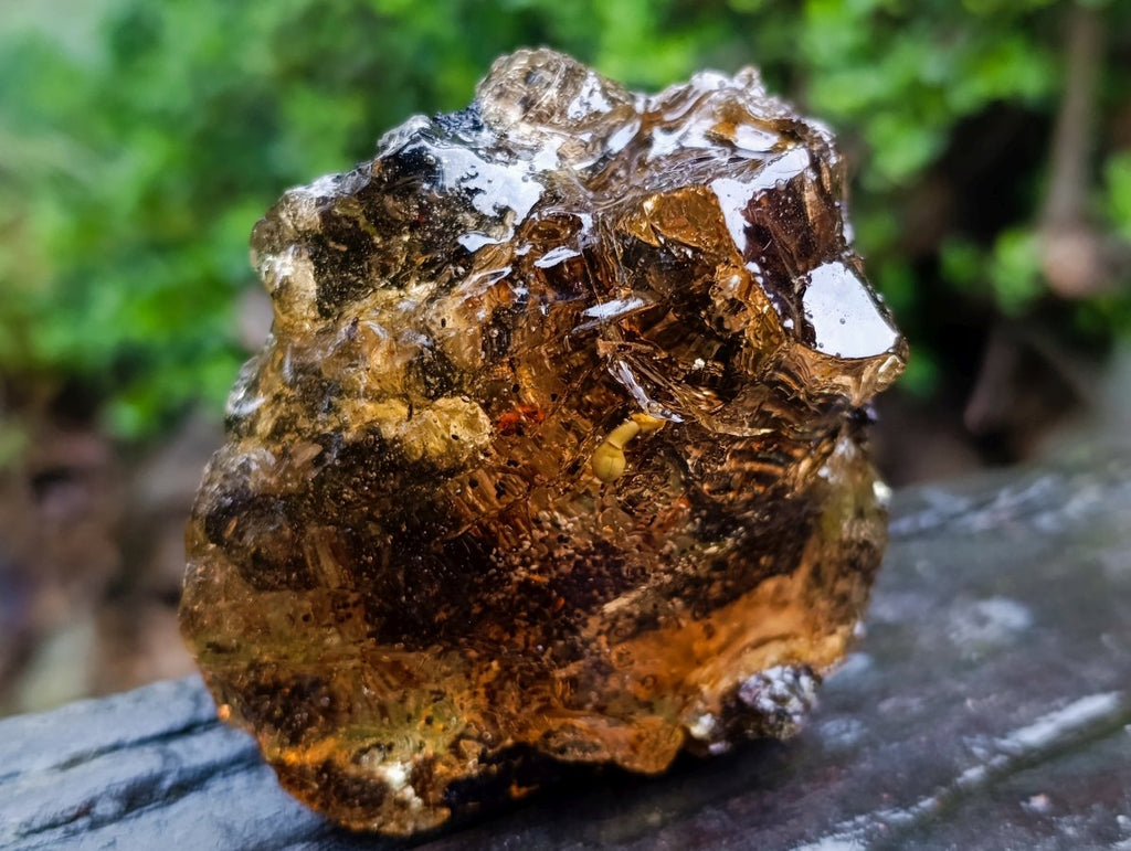 Polished XL Cabinet Size Copal Amber with Multiple Inclusions x 1 From Nosy Varika Madagascar