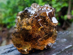 Polished XL Cabinet Size Copal Amber with Multiple Inclusions x 1 From Nosy Varika Madagascar