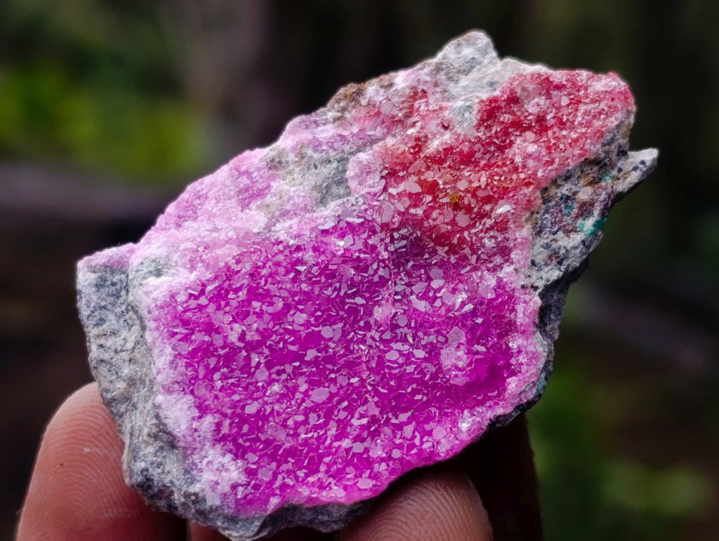 Polished Mix of African Minerals and Crystals Set of 12 x 1 From Southern Africa