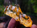 Polished Mix of African Minerals and Crystals Set of 12 x 1 From Southern Africa