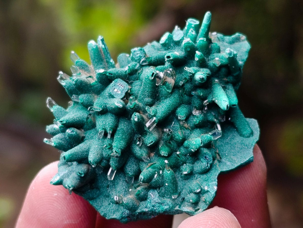Polished Mix of African Minerals and Crystals Set of 12 x 1 From Southern Africa