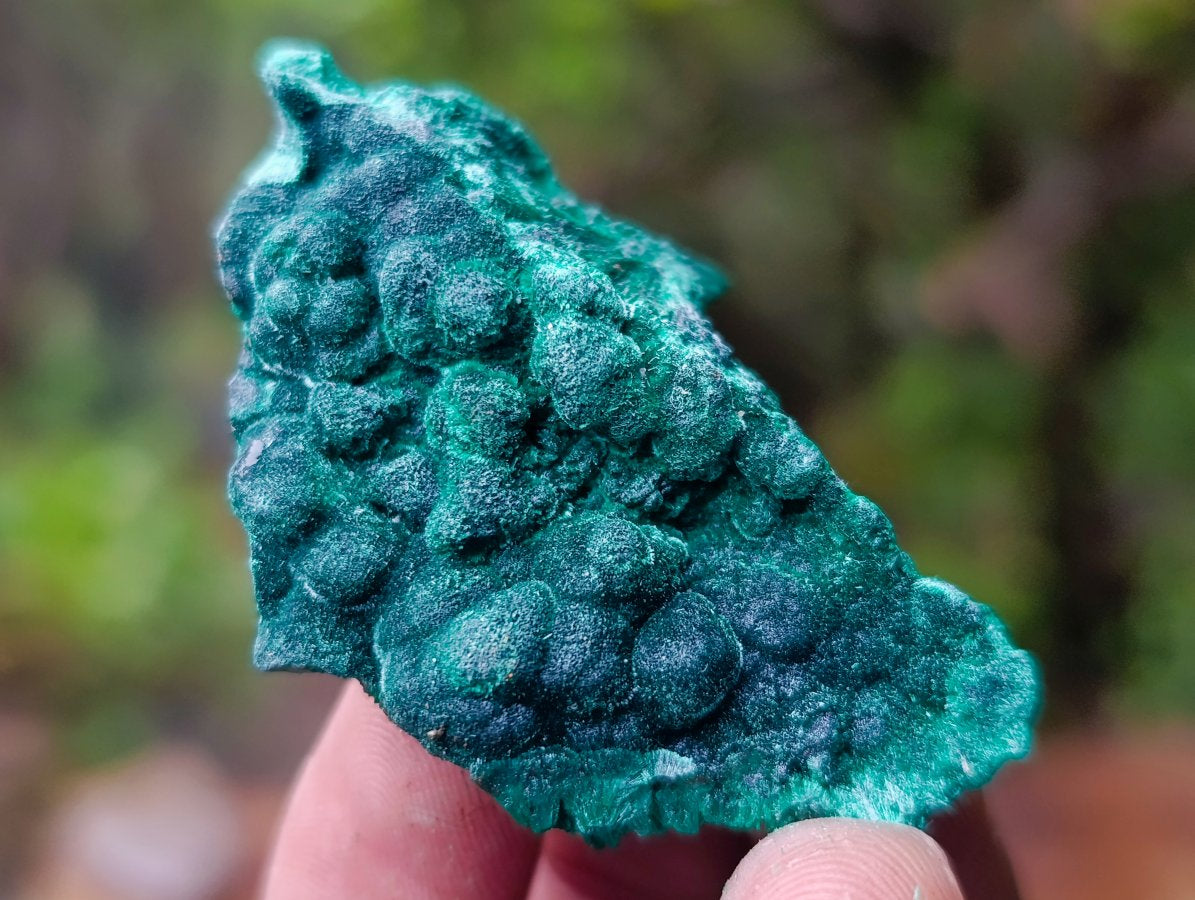 Polished Mix of African Minerals and Crystals Set of 12 x 1 From Southern Africa