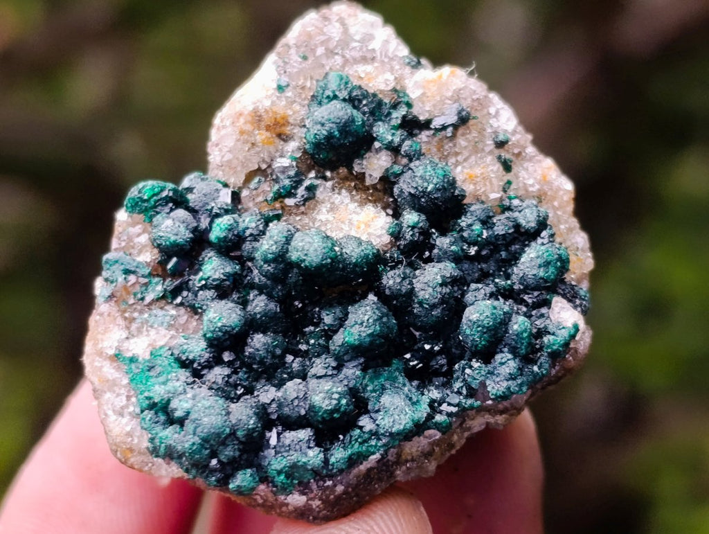 Polished Mix of African Minerals and Crystals Set of 12 x 1 From Southern Africa