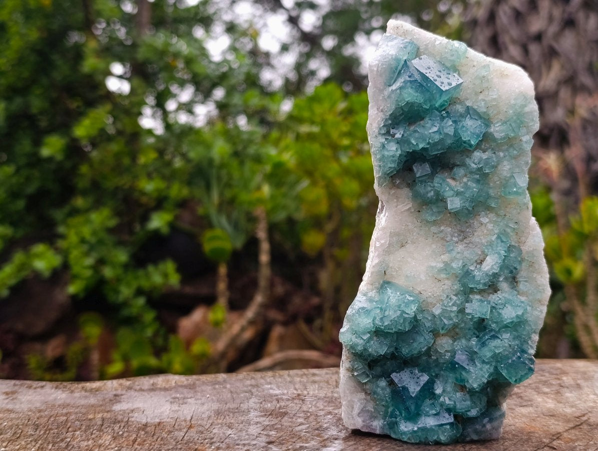 Natural Cabinet Size Cubic Fluorite Specimen x 1 From Mandrosonoro Madagascar