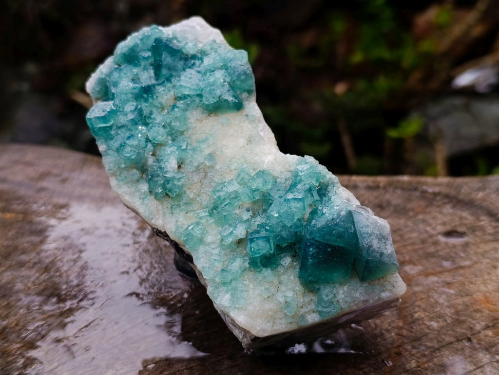 Natural Cabinet Size Cubic Fluorite Specimen x 1 From Mandrosonoro Madagascar