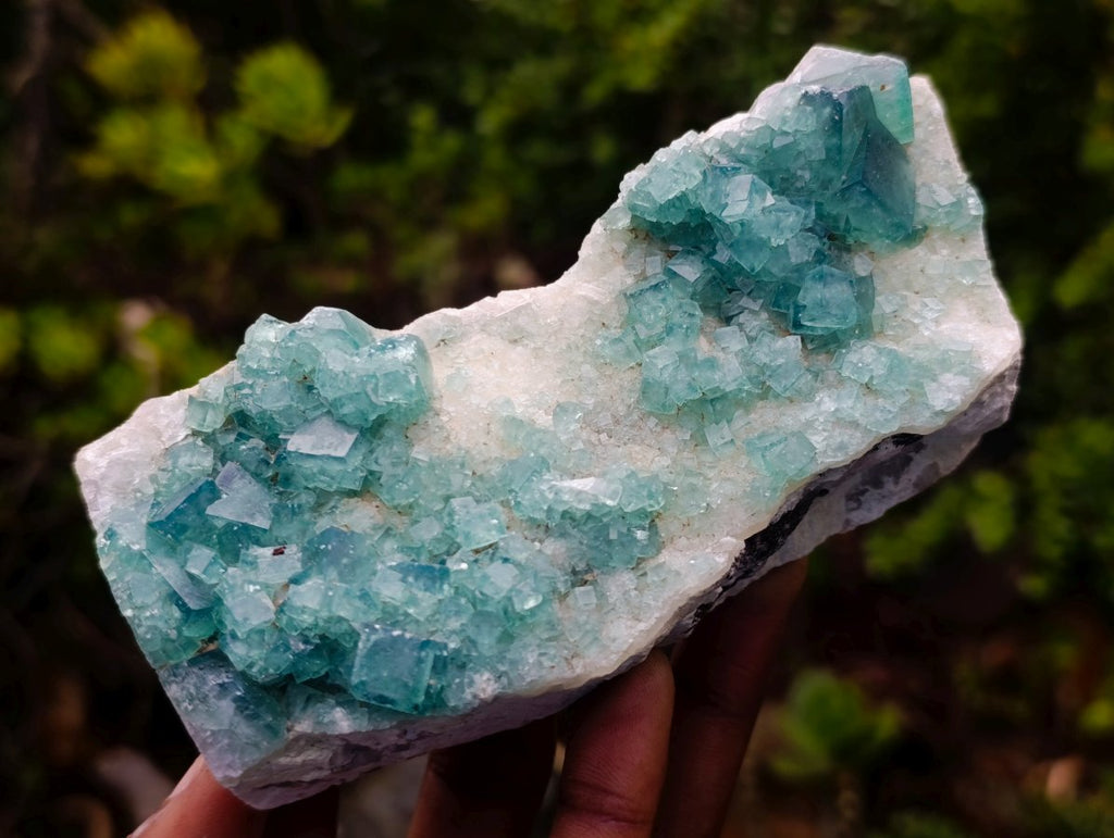 Natural Cabinet Size Cubic Fluorite Specimen x 1 From Mandrosonoro Madagascar