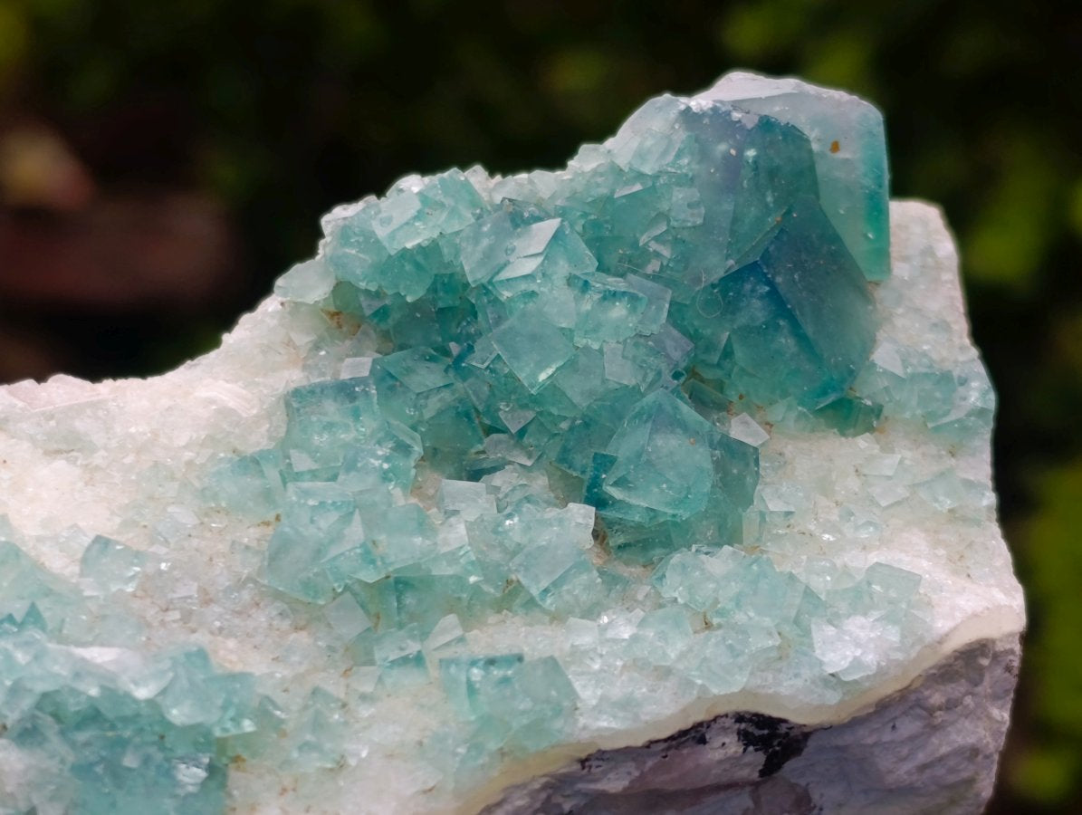 Natural Cabinet Size Cubic Fluorite Specimen x 1 From Mandrosonoro Madagascar