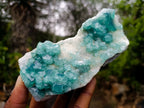 Natural Cabinet Size Cubic Fluorite Specimen x 1 From Mandrosonoro Madagascar