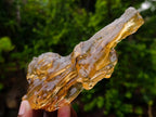 Natural Copal Amber with Insect Inclusions x 1 From Nosy Varika Madagascar