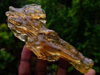 Natural Copal Amber with Insect Inclusions x 1 From Nosy Varika Madagascar