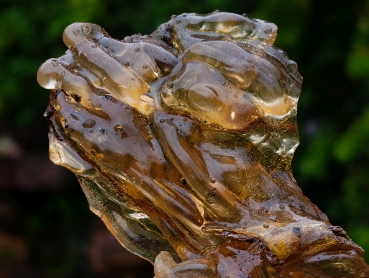 Natural Copal Amber with Insect Inclusions x 1 From Nosy Varika Madagascar