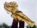 Natural Copal Amber with Insect Inclusions x 1 From Nosy Varika Madagascar