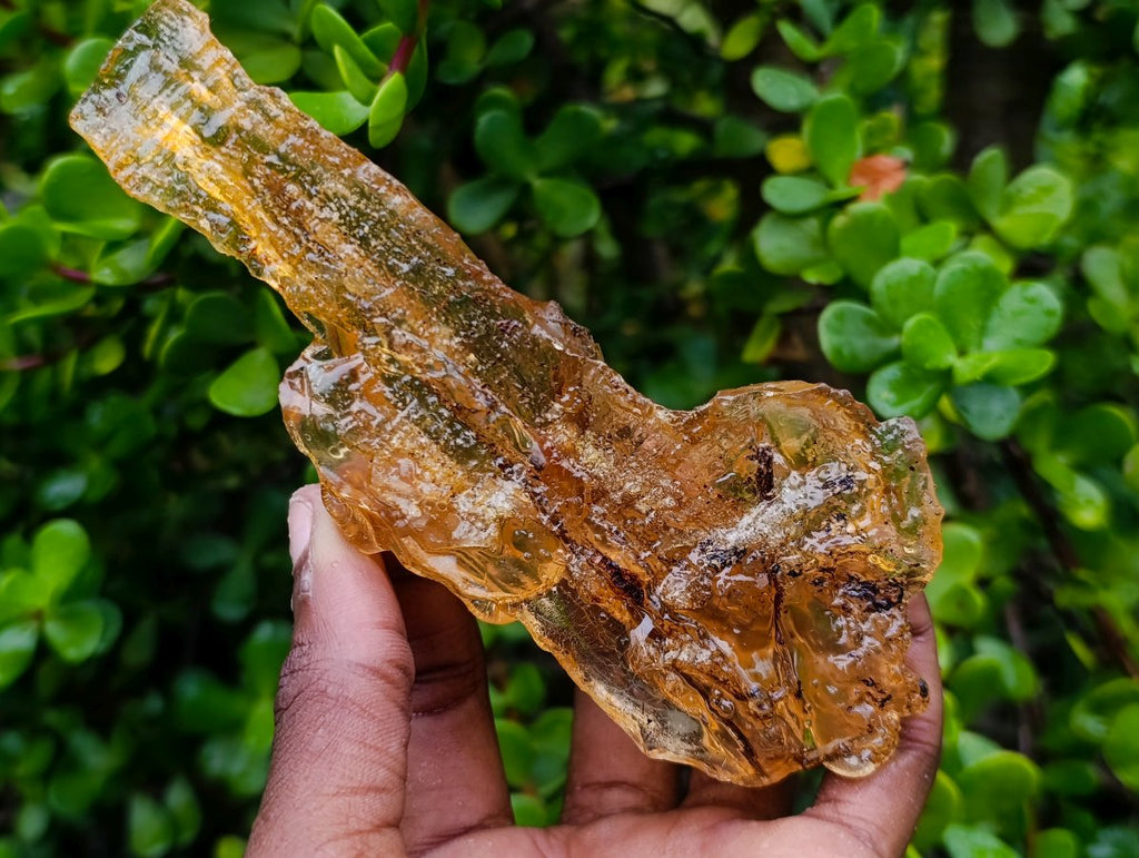 Natural Copal Amber with Insect Inclusions x 1 From Nosy Varika Madagascar