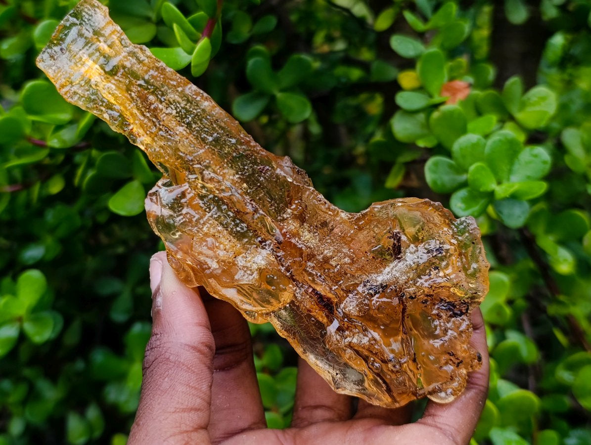 Natural Copal Amber with Insect Inclusions x 1 From Nosy Varika Madagascar