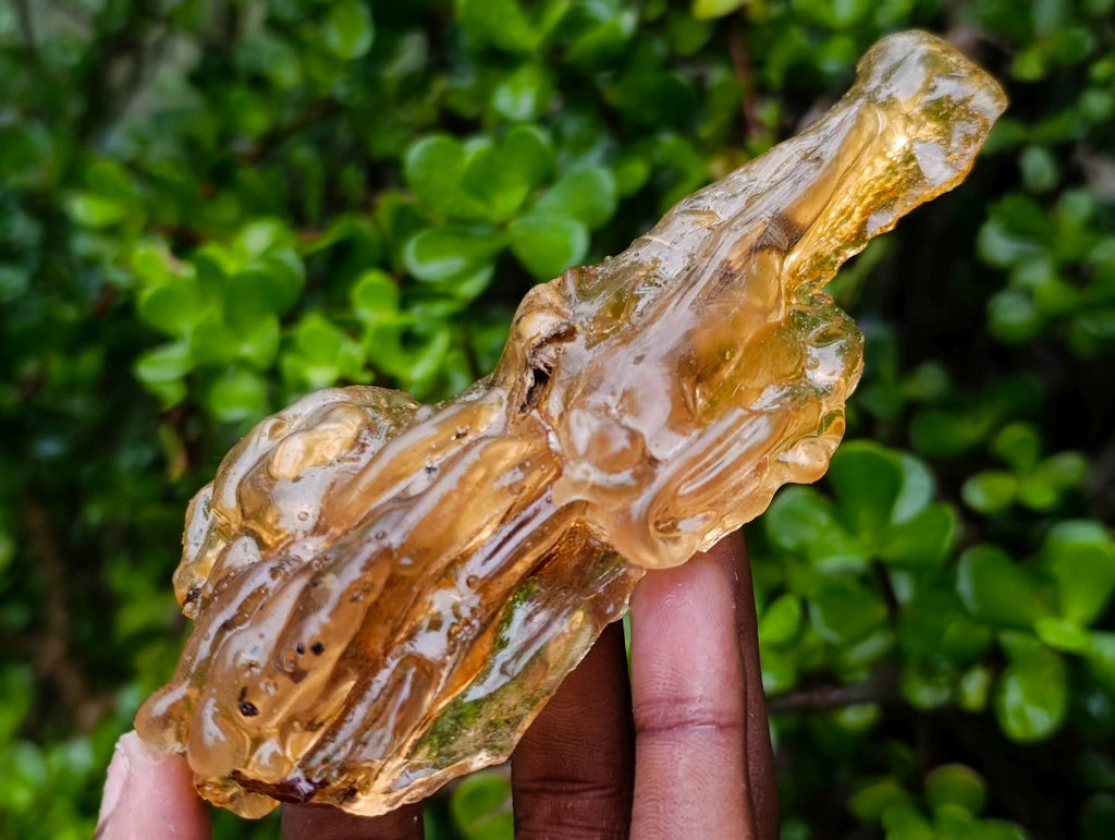 Natural Copal Amber with Insect Inclusions x 1 From Nosy Varika Madagascar