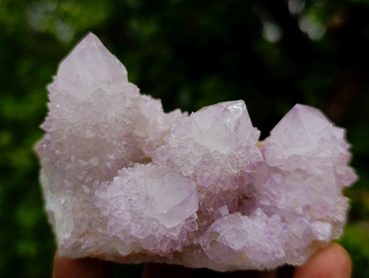 Natural Lilac Spirit Amethyst Cactus Flower Crystal Cluster x 1 From Boekenhouthoek, South Africa