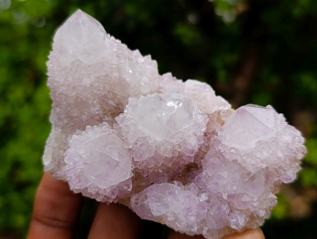 Natural Lilac Spirit Amethyst Cactus Flower Crystal Cluster x 1 From Boekenhouthoek, South Africa