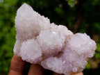 Natural Lilac Spirit Amethyst Cactus Flower Crystal Cluster x 1 From Boekenhouthoek, South Africa