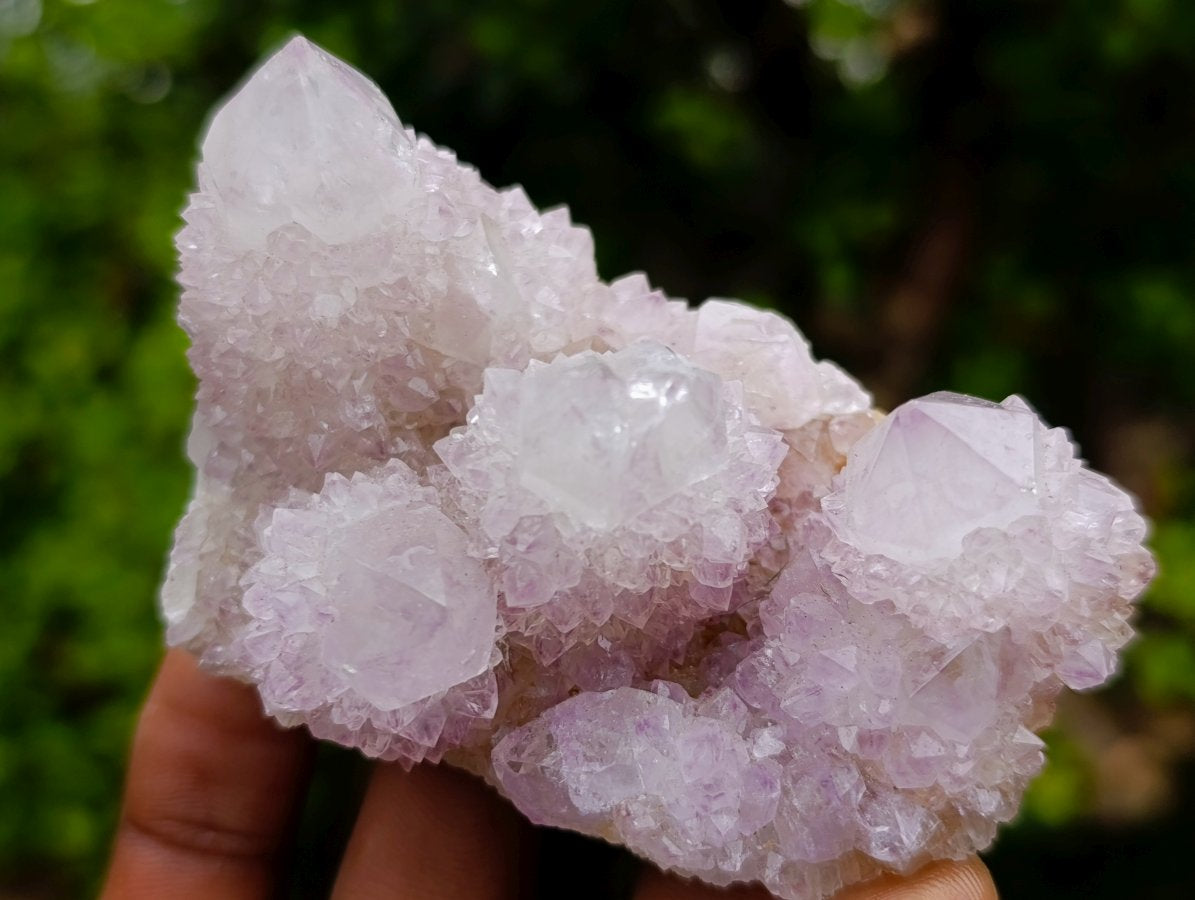 Natural Lilac Spirit Amethyst Cactus Flower Crystal Cluster x 1 From Boekenhouthoek, South Africa