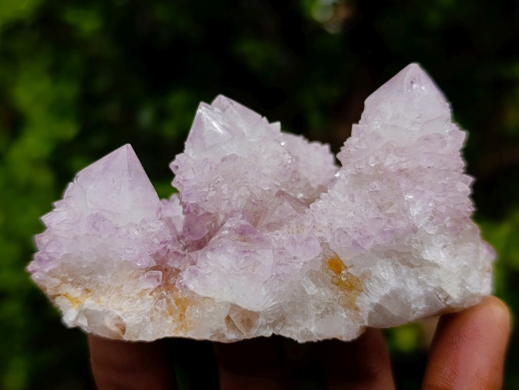 Natural Lilac Spirit Amethyst Cactus Flower Crystal Cluster x 1 From Boekenhouthoek, South Africa