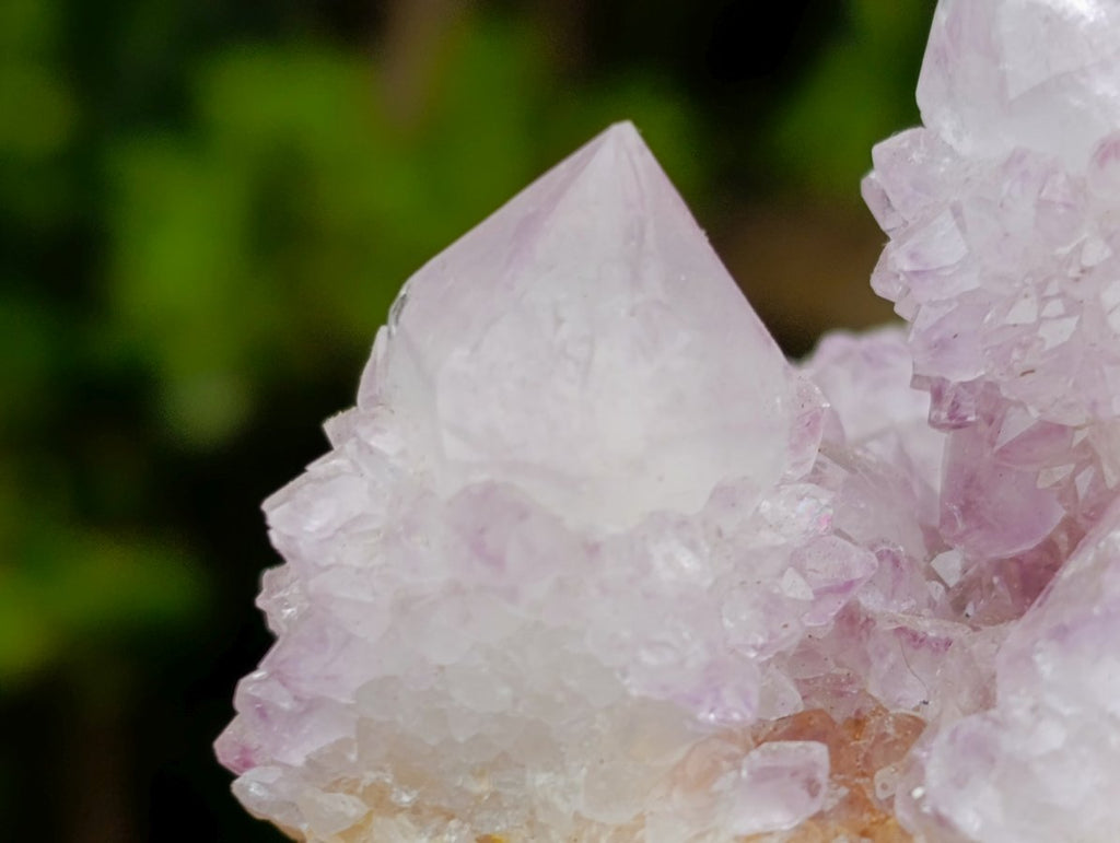 Natural Lilac Spirit Amethyst Cactus Flower Crystal Cluster x 1 From Boekenhouthoek, South Africa