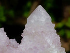 Natural Lilac Spirit Amethyst Cactus Flower Crystal Cluster x 1 From Boekenhouthoek, South Africa