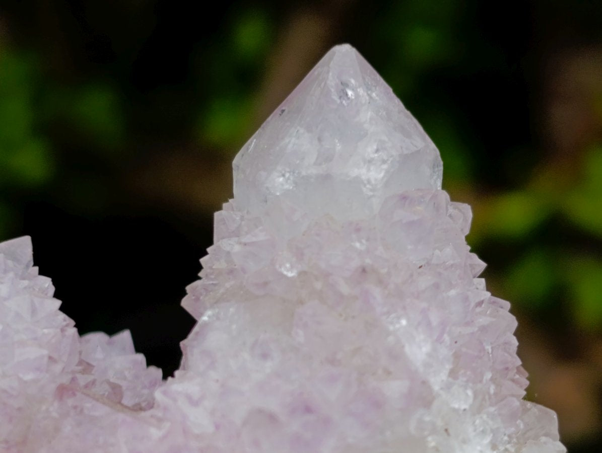 Natural Lilac Spirit Amethyst Cactus Flower Crystal Cluster x 1 From Boekenhouthoek, South Africa
