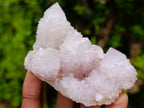 Natural Lilac Spirit Amethyst Cactus Flower Crystal Cluster x 1 From Boekenhouthoek, South Africa