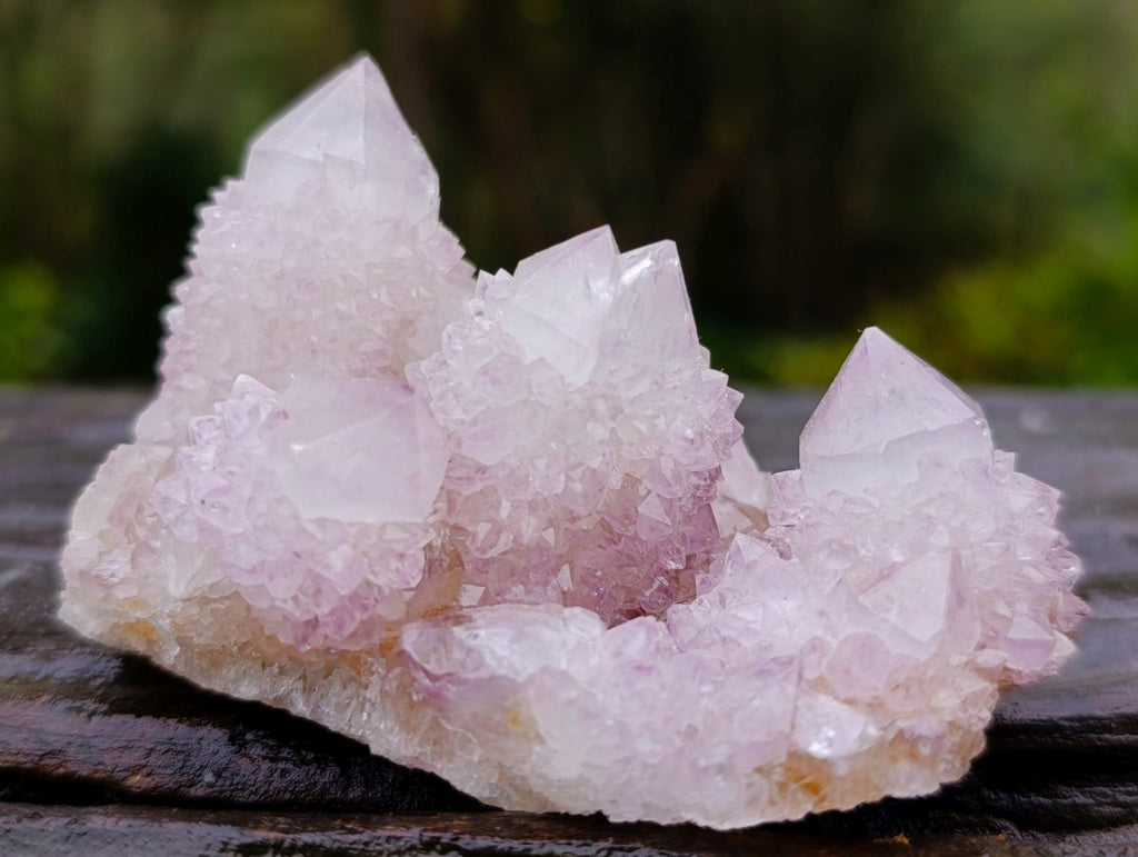 Natural Lilac Spirit Amethyst Cactus Flower Crystal Cluster x 1 From Boekenhouthoek, South Africa