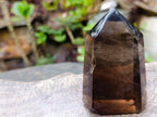 Polished Two Tone Smokey Quartz Crystal x 1 From Madagascar