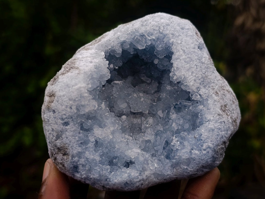 Natural Cabinet Size Blue Celestite Geode Specimen x 1 From Sakoany Madagascar