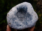 Natural Cabinet Size Blue Celestite Geode Specimen x 1 From Sakoany Madagascar