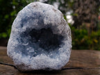 Natural Cabinet Size Blue Celestite Geode Specimen x 1 From Sakoany Madagascar