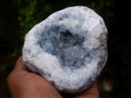 Natural Cabinet Size Blue Celestite Geode Specimen x 1 From Sakoany Madagascar