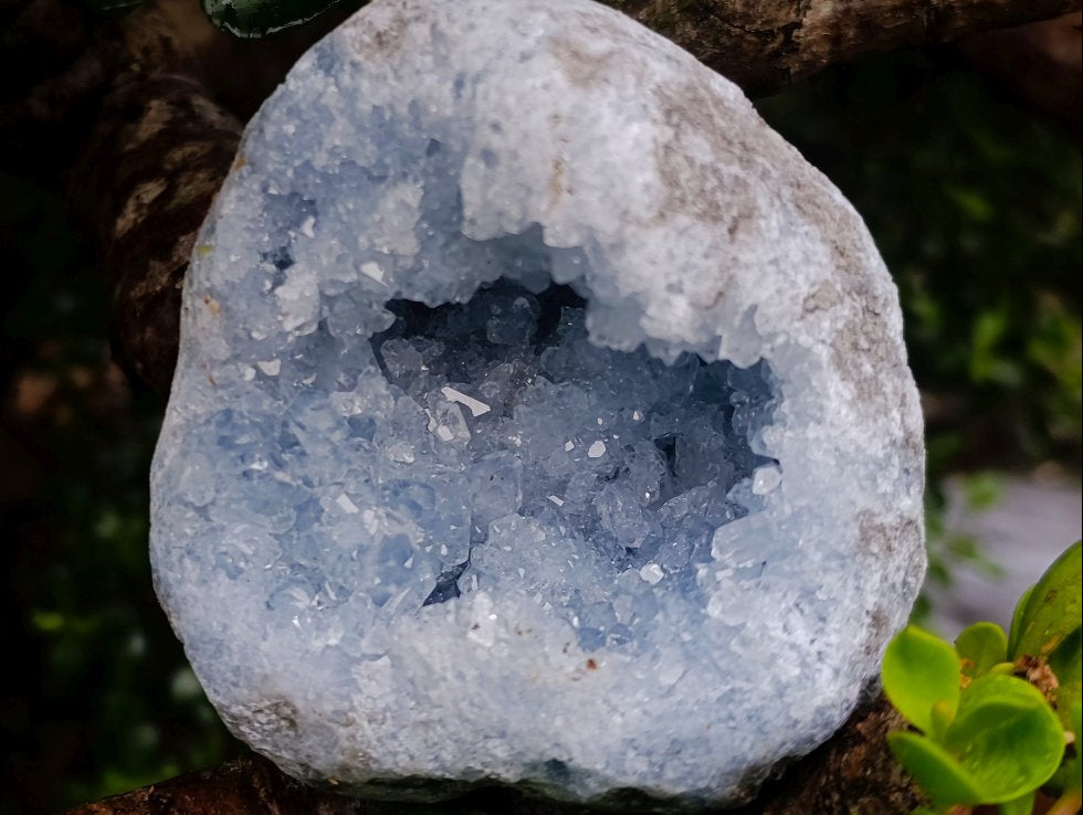 Natural Cabinet Size Blue Celestite Geode Specimen x 1 From Sakoany Madagascar