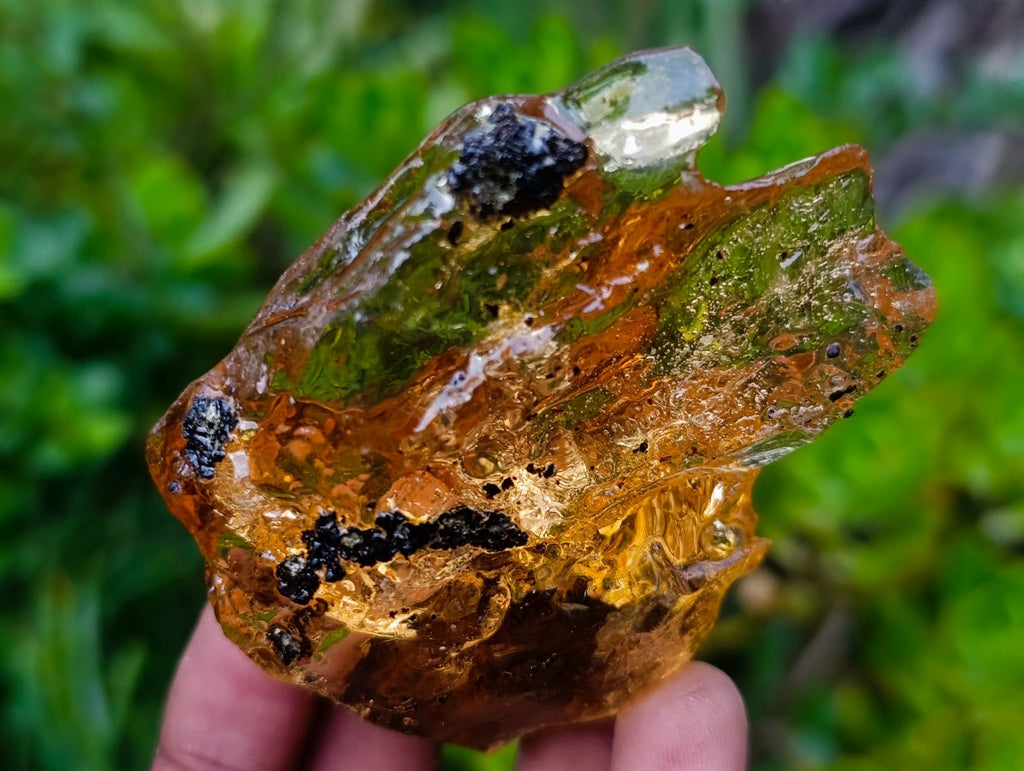 Natural Copal Amber with Insect and Plant Inclusions x 1 From Nosy Varika Madagascar