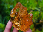 Natural Copal Amber with Insect and Plant Inclusions x 1 From Nosy Varika Madagascar