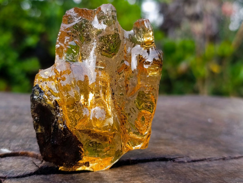 Natural Copal Amber with Insect and Plant Inclusions x 1 From Nosy Varika Madagascar