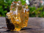 Natural Copal Amber with Insect and Plant Inclusions x 1 From Nosy Varika Madagascar