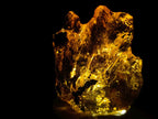 Natural Copal Amber with Insect and Plant Inclusions x 1 From Nosy Varika Madagascar