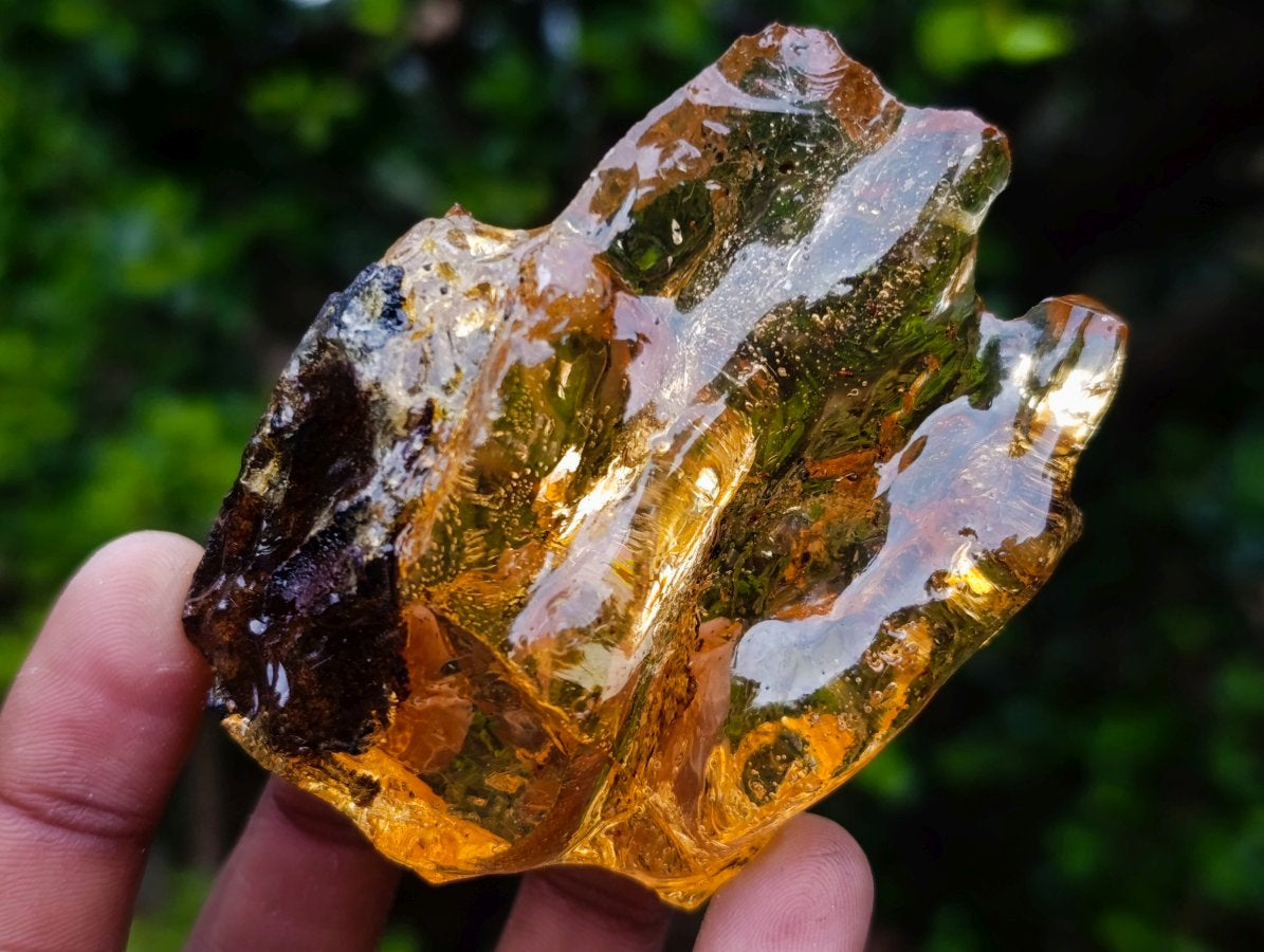 Natural Copal Amber with Insect and Plant Inclusions x 1 From Nosy Varika Madagascar